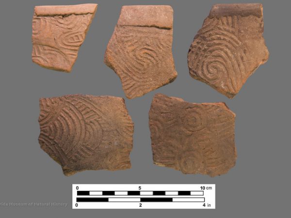 5 sherds with complicated stamping