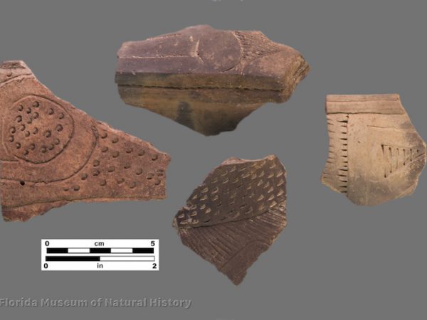 4 sherds with complex incising and punctation