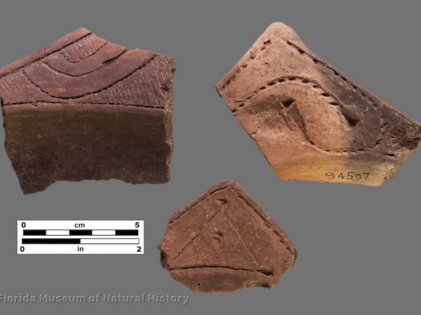 3 rim sherds with triangular-shaped incised and punctated lugs
