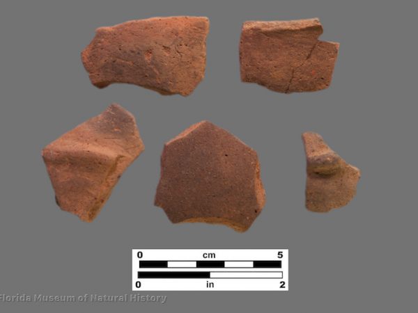 5 sherds of fine, plain pottery