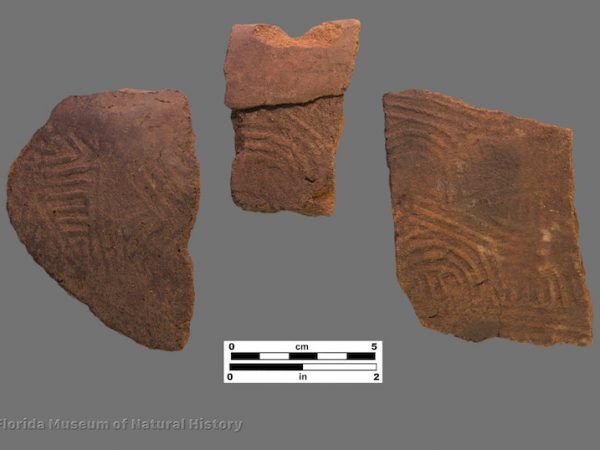 3 sherds with complicated stamping