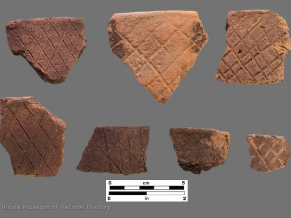7 sherds with incised crosshatching