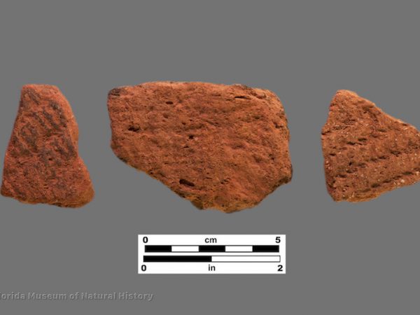 3 sherds of coarse pottery with fabric impressions