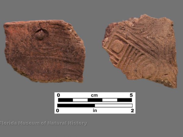 2 sherds with complicated stamping