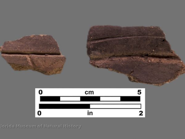 2 sherds with incised lines