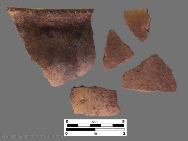 5 fine, plain sherds