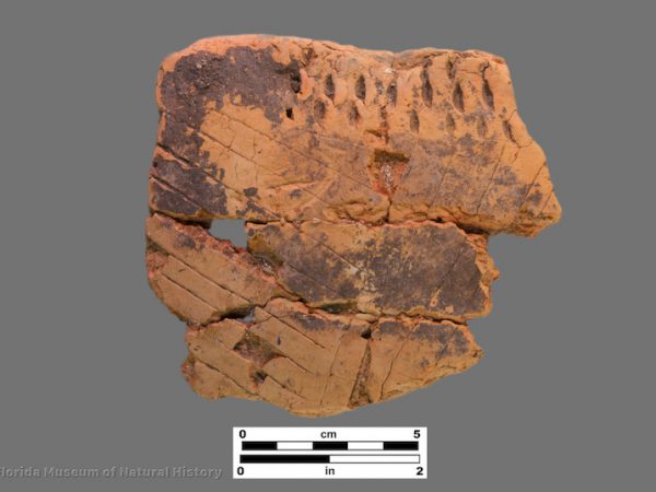 1 sherds with fine straight line incising or engraving and fingernail imprressions