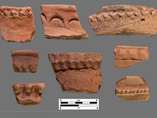8 sherds with punctated or applied rims