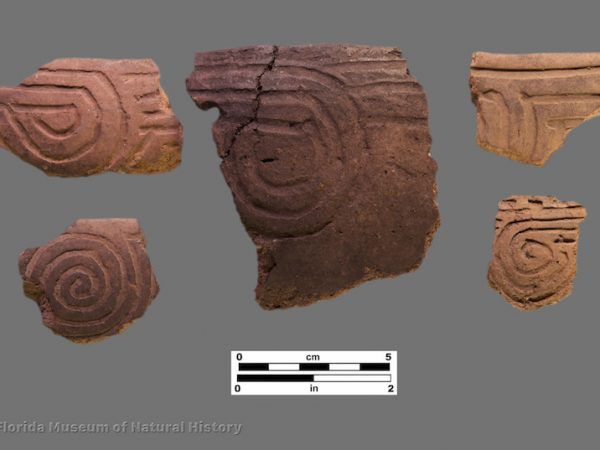 5 sherds with incised swirl designs