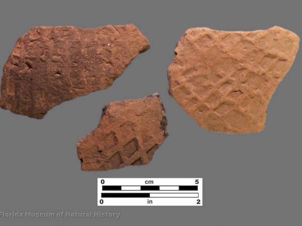 3 sherds with large check stamping