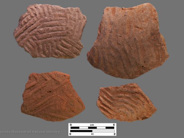 4 sherds with large complicated stamping