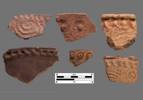 6 sherds with complicated stamping and punctated or applied rims