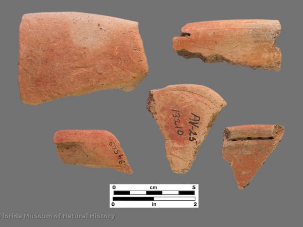 5 sherds with smooth red-filmed surfaces