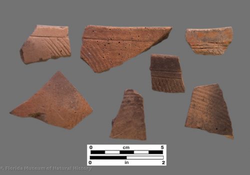 7 sherds with parallel line incising