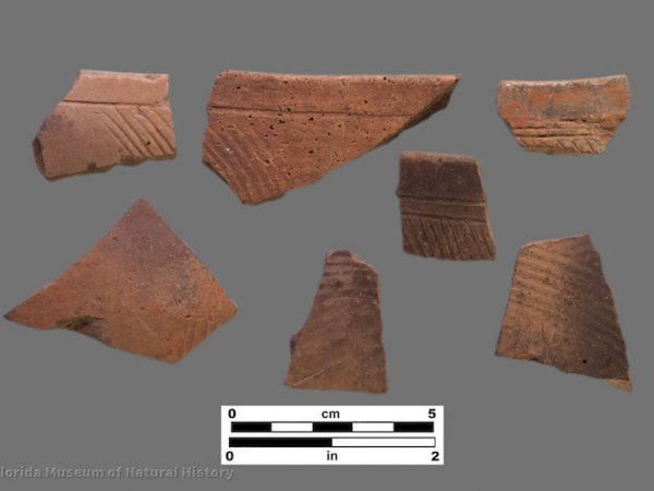 7 sherds with parallel line incising