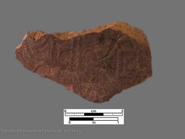 1 sherd complicated stamped pottery