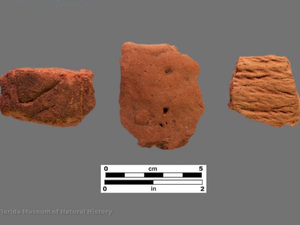 3 sherds of pottery with incised or cord marked surfaces
