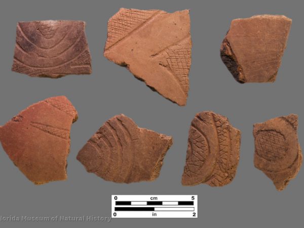 7 sherds with zones of crosshatched incising