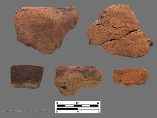 5 sherds of plain coarse pottery