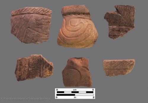 6 sherds with complex dentate stamped and incised zones