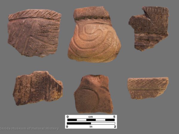 6 sherds with complex dentate stamped and incised zones