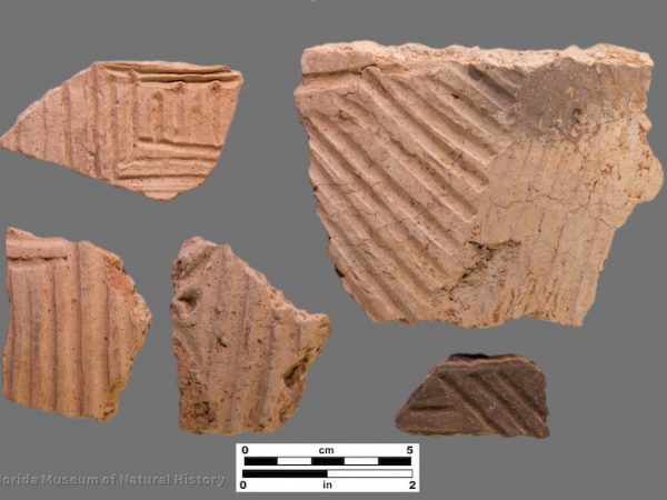 5 sherds of bold parallel line incising