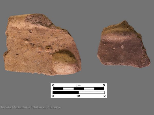 2 sherds of plain pottery with round protrusions