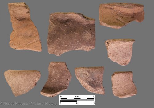 8 rim sherds of plain shell tempered pottery