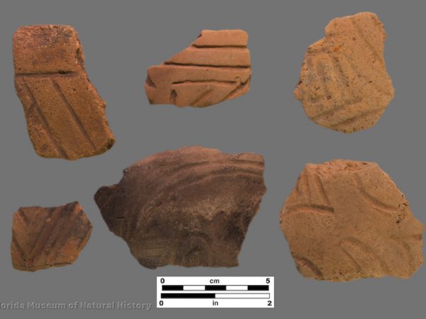 6 sherds of straight and curvilinear incised surfaces