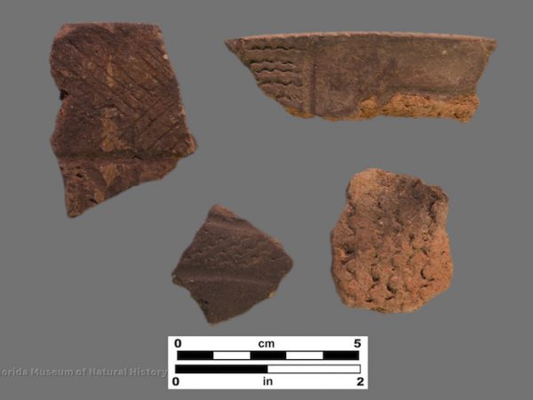 4 sherds with large shell dentate stamping