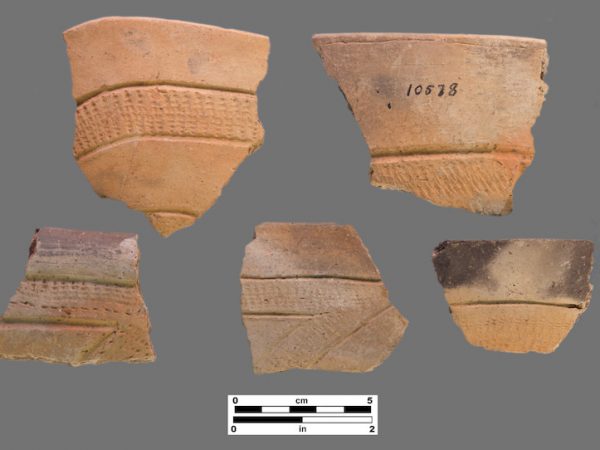 5 sherds with zoned rocker stamping
