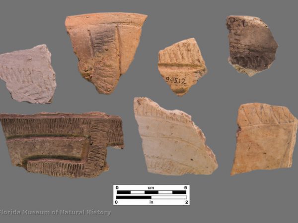 7 sherds with zoned rocker stamping