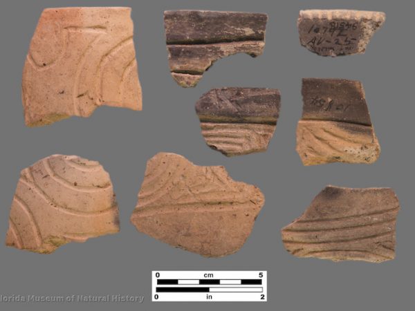 8 sherds with bold curvilinear incising