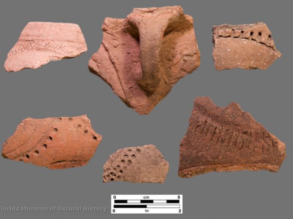 6 sherds with incised and punctated decoration