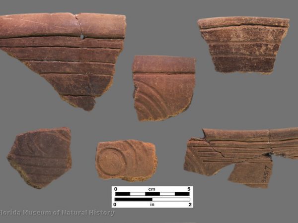 6 sherds with incised banding and curvilinear incised areas