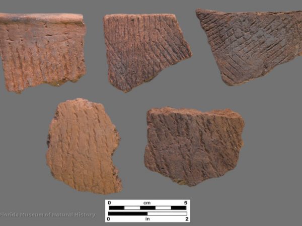 5 sherds with cord marking