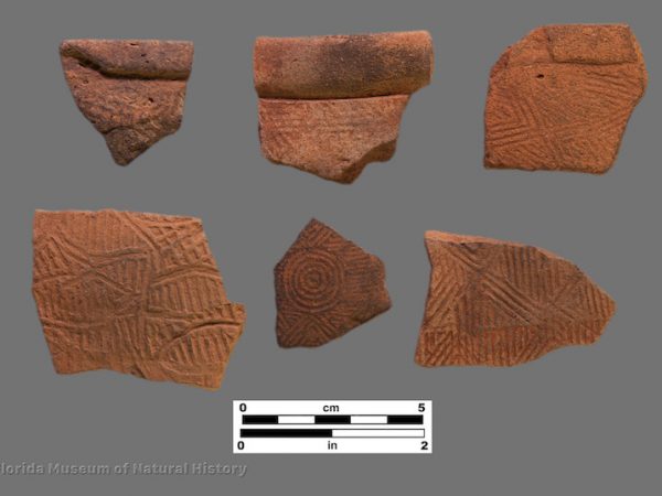 6 sherds with fine line complicated stamping