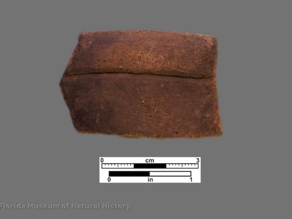 1 sherd with folded rim