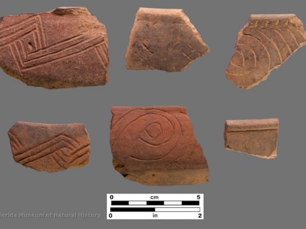 6 sherds with incised decoration