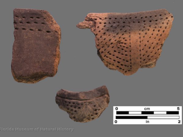 3 sherds with small punctations in lines or zones