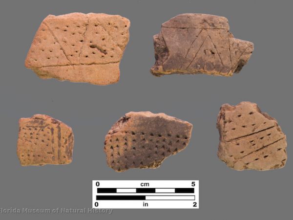 5 sherds with fine punctations and incised lines