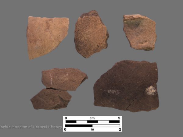 5 sherds of plain pottery