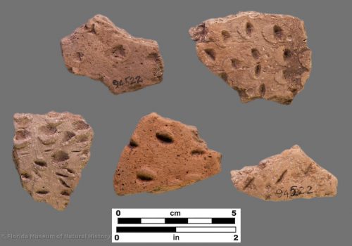 5 sherds with deep fingernail impressions
