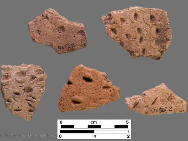 5 sherds with deep fingernail impressions