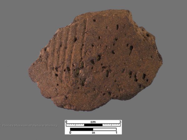 1 sherd shell-tempered pottery with parallel incisions