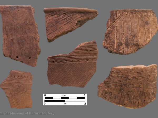 6 sherds with fine brushing and some punctations