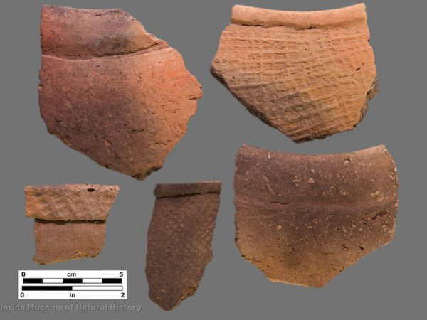 5 rim sherds with check stamping