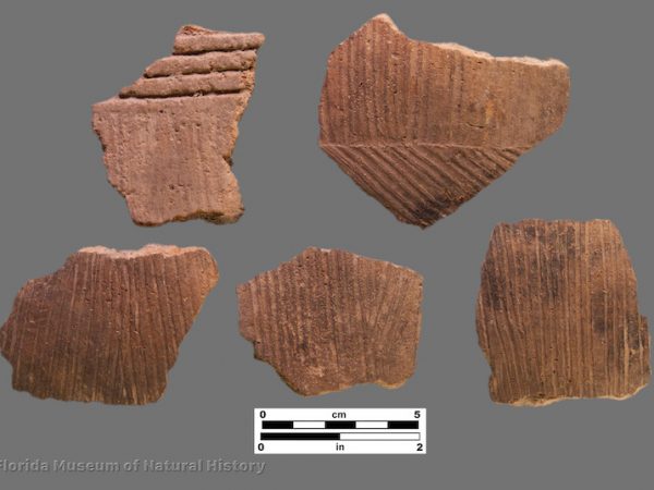 5 sherds with fine parallel incising or brushing