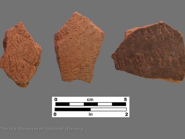 3 sherds with diffuse cob impressions