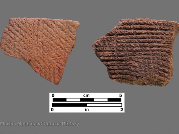 2 sherds of cord marked pottery
